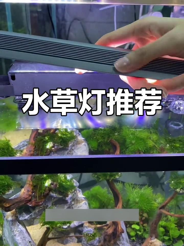 吉印水草燈和吉印刀鋒有什么區(qū)別：“吉印水草燈”與“吉印刀鋒”兩款產(chǎn)品的核心差異展開分析