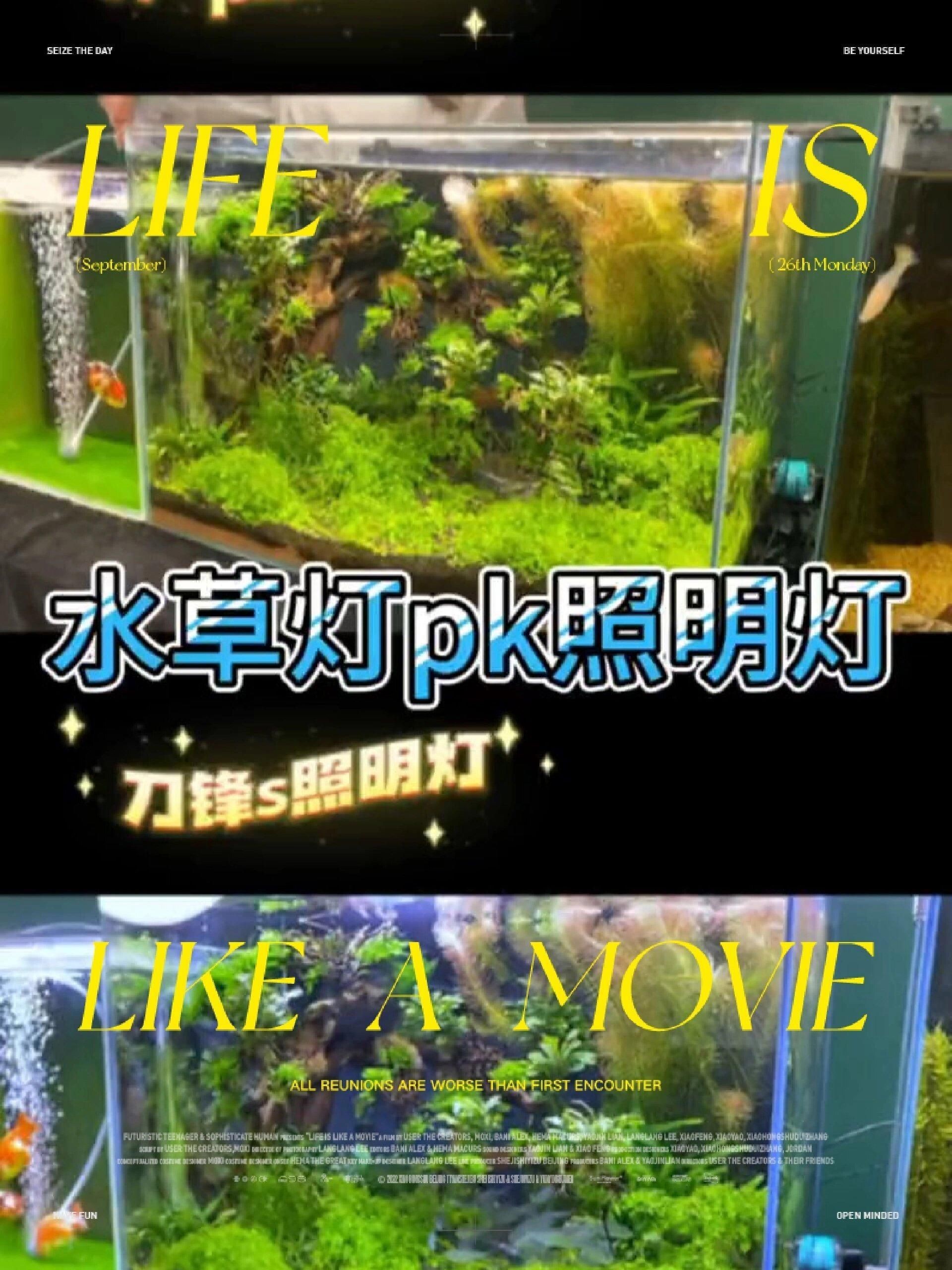 吉印水草燈和吉印刀鋒有什么區(qū)別：“吉印水草燈”與“吉印刀鋒”兩款產(chǎn)品的核心差異展開分析