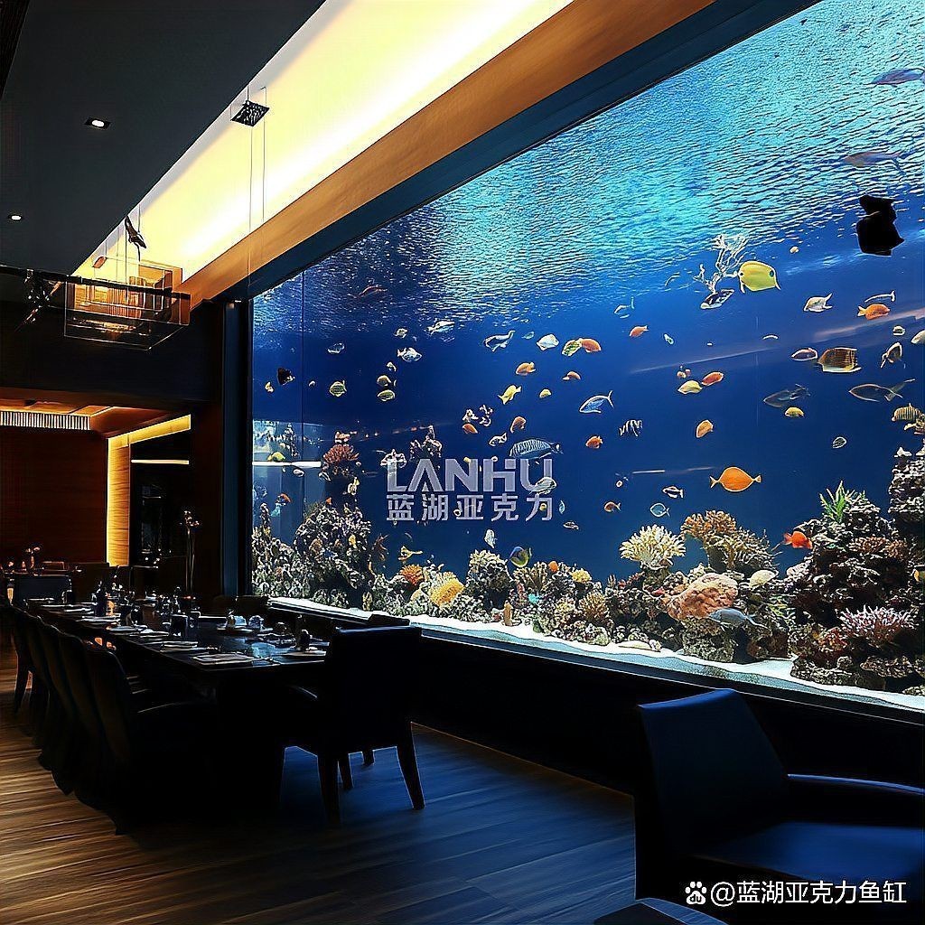 安慶魚缸維護(hù)：安慶地區(qū)的魚缸維護(hù)需結(jié)合本地氣候與水質(zhì)特點(diǎn)