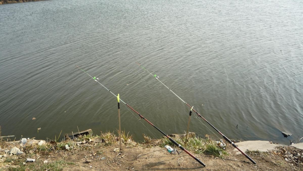 六七斤的鯉魚算大嗎：六七斤的鯉魚在不同語境下具有差異化的評價標準