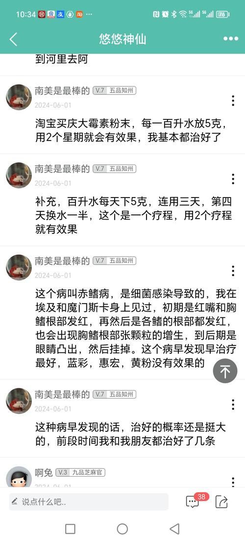 提供幾張魚鰭根部紅腫充血的圖片：——魚鰭根部紅腫充血治療方法