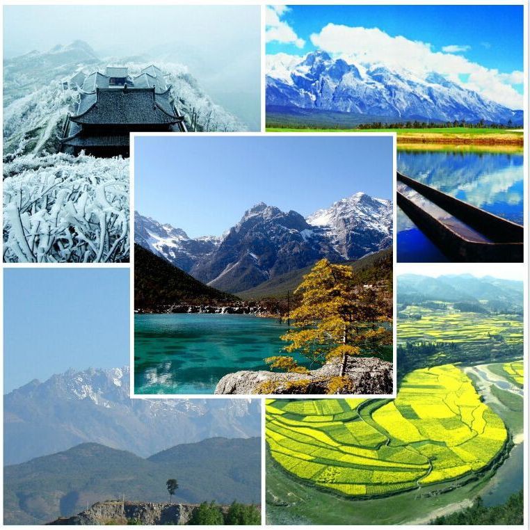 鳳岡水族店：鳳岡水族店地址在哪里