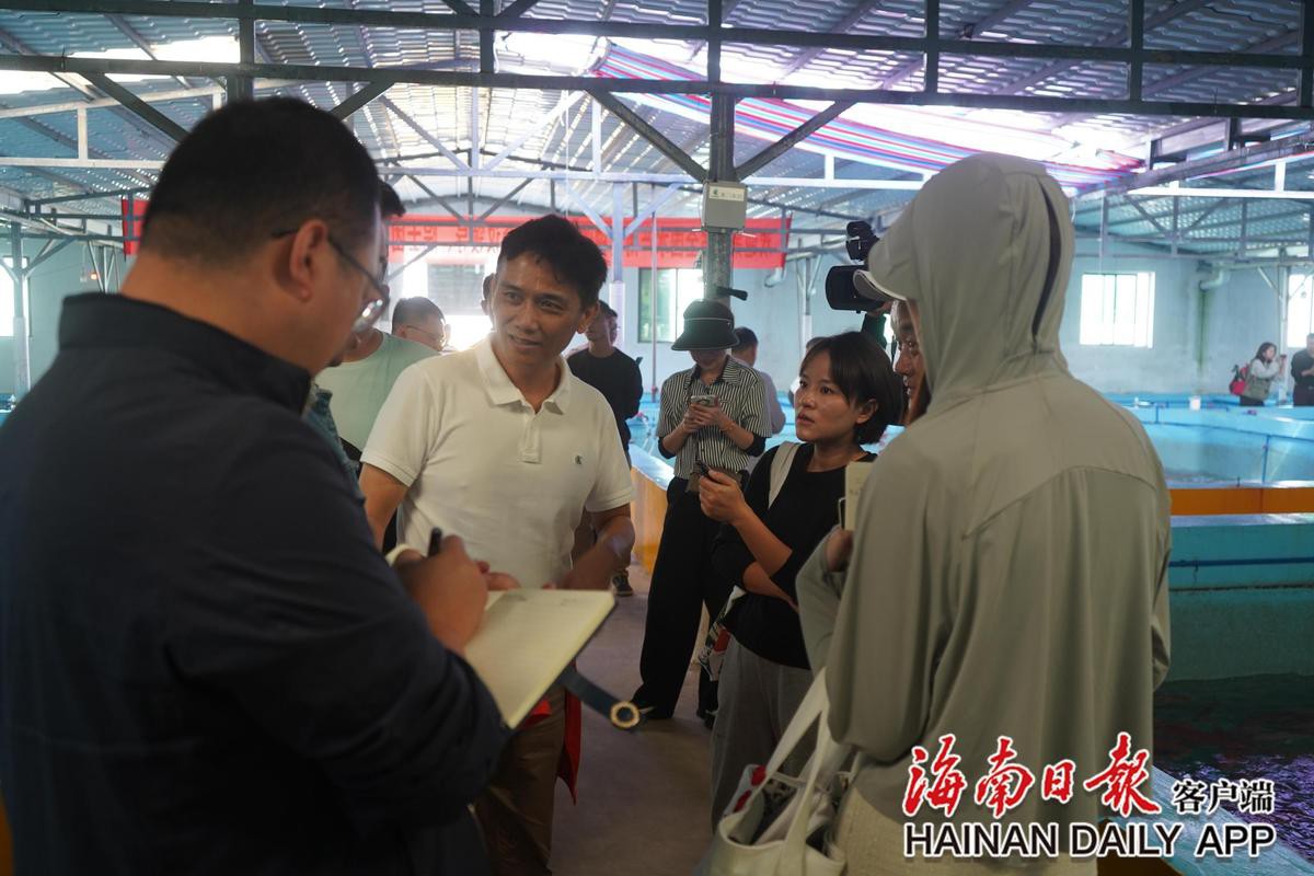 東星斑魚為什么那么貴：東星斑vs老虎斑，東星斑的價格波動呈現明顯季節性特征