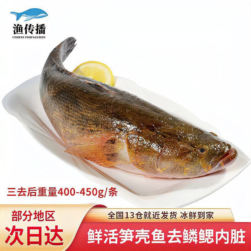 東星斑魚為什么那么貴：東星斑vs老虎斑，東星斑的價格波動呈現明顯季節性特征