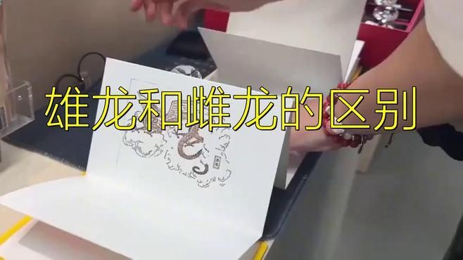 恐龍怎么分辨公母：古生物學家教你肉眼辨性別