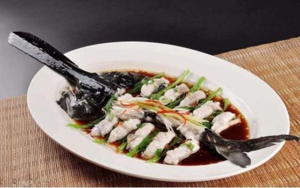 世界上最鴨嘴魚有少斤：鴨嘴魚——美國“鴨嘴魚”