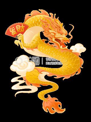 有哪些適合混養龍魚的魚種？：招財金龍壁紙資源及推薦
