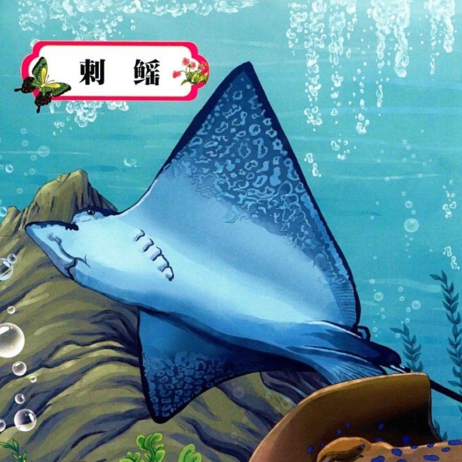 世界上刺最多的魚：\