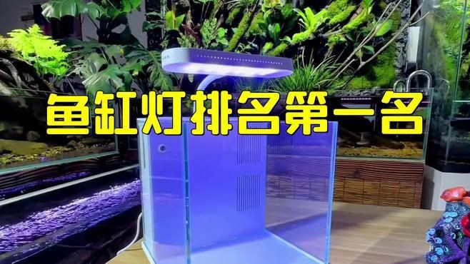 吉印和森森的燈哪家好：“吉印”與“森森”兩大燈具品牌的優(yōu)劣對(duì)比分析