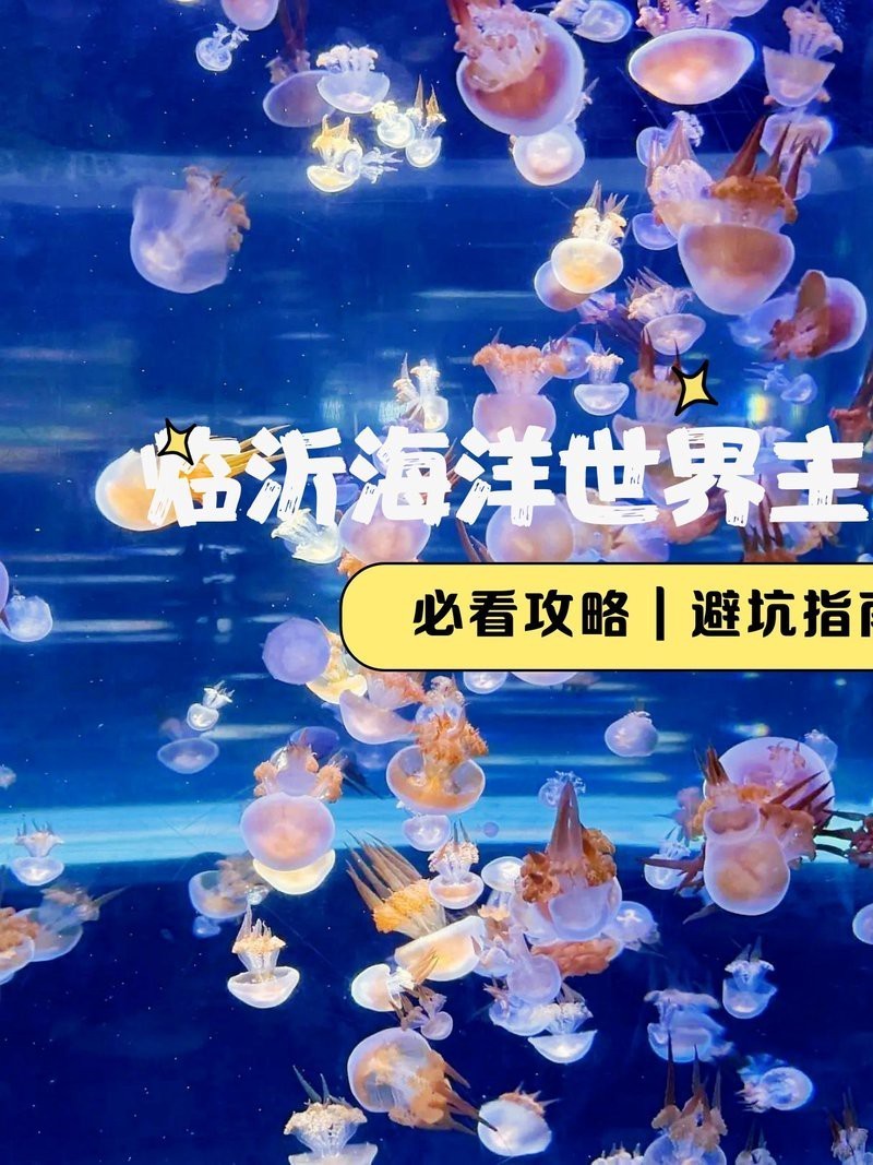臨沂水族店：臨沂水族店哪家口碑最好