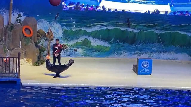 臨沂水族店：臨沂水族店哪家口碑最好