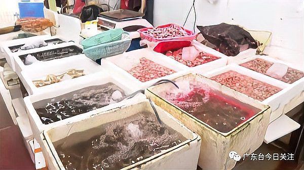 海水魚細菌感染的死亡率有多高?:海水魚因細菌感染導致的死亡率受多重因素影響具有差異性 龍魚百科 第8張 海水魚細菌感染的死亡率有多高?:海水魚因細菌感染導致的死亡率受多重因素影響具有差異性 海水魚細菌感染的死亡率有多高?:海水魚因細菌感染導致的死亡率受多重因素影響具有差異性 龍魚百科 第8張