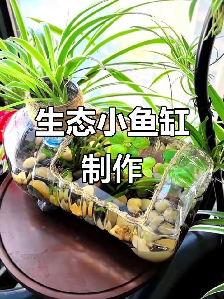 有哪些輕型材料可以制作魚缸？：亞克力魚缸制作的規格和材料選擇亞克力魚缸用什么材質最耐用