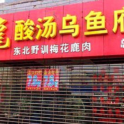 北碚龍魚店：*《北碚龍魚店》*北碚龍魚店