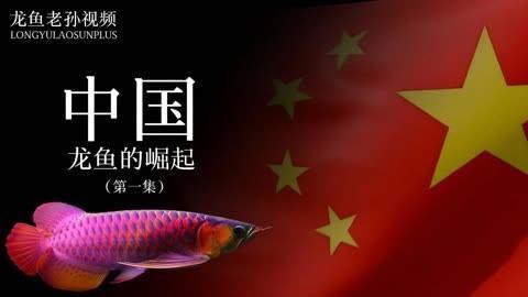 2025老孫講龍魚：2025年老孫講龍魚實錄