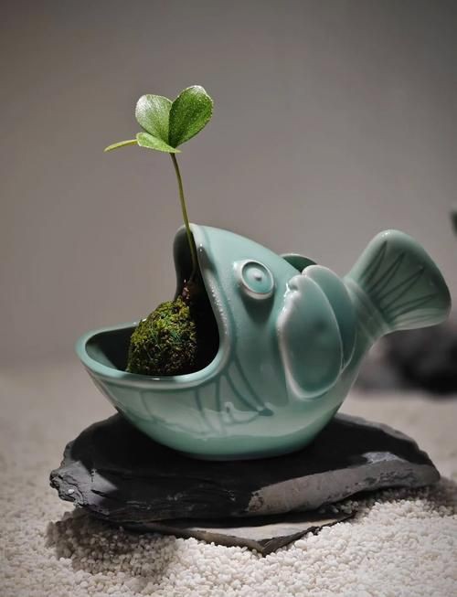 摩羯魚圖片100張：“摩羯魚圖片100張”展開呈現了一組豐富多元的視覺素材