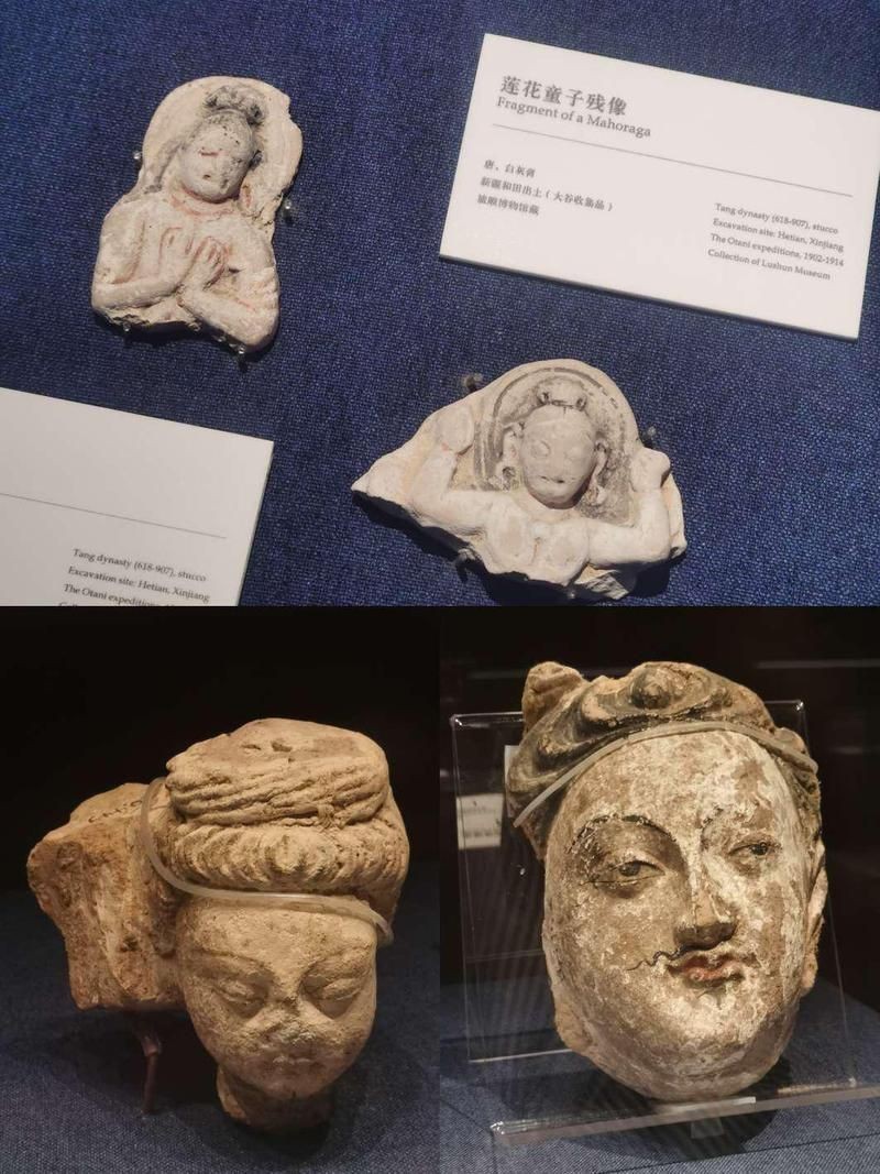 摩羯魚圖片100張：“摩羯魚圖片100張”展開呈現了一組豐富多元的視覺素材