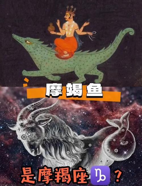 摩羯魚圖片100張：“摩羯魚圖片100張”展開呈現了一組豐富多元的視覺素材