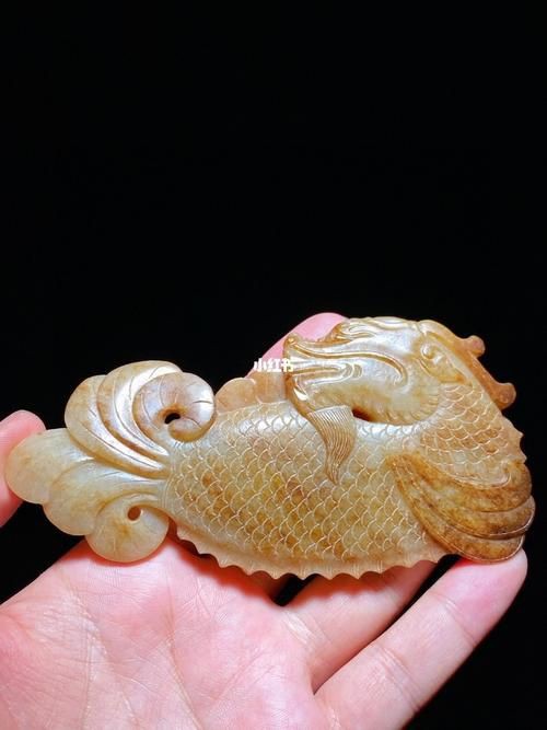 摩羯魚圖片100張：“摩羯魚圖片100張”展開呈現了一組豐富多元的視覺素材