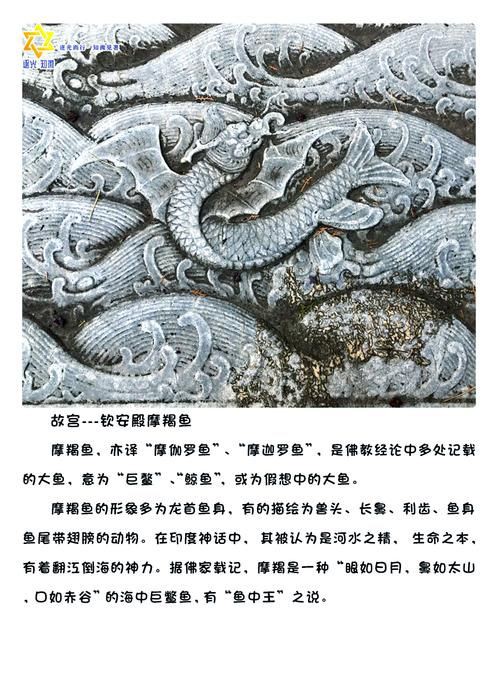 摩羯魚圖片100張：“摩羯魚圖片100張”展開呈現了一組豐富多元的視覺素材