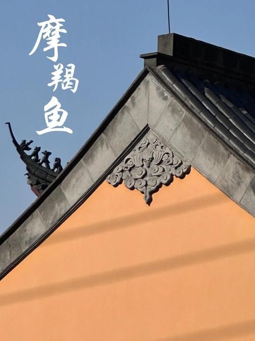 摩羯魚圖片100張：“摩羯魚圖片100張”展開呈現了一組豐富多元的視覺素材