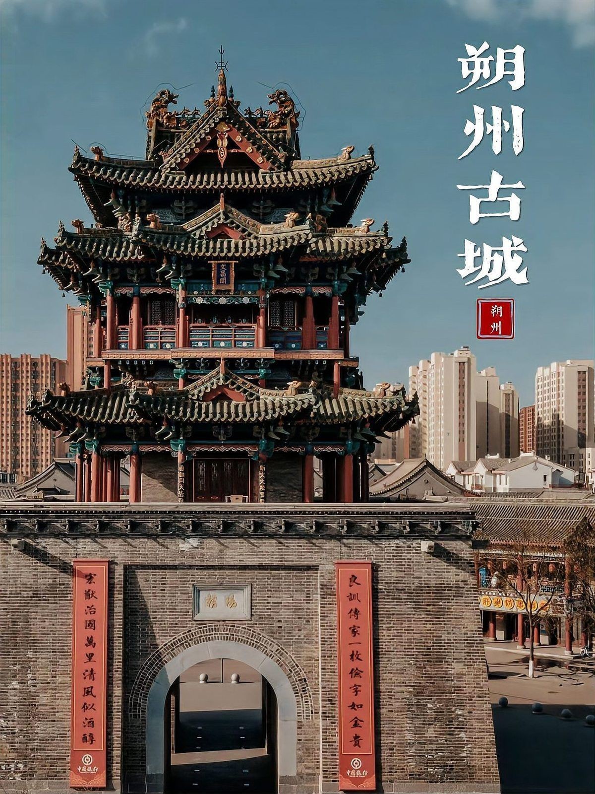 朔州龍魚店：朔州市開發區好多魚水族店