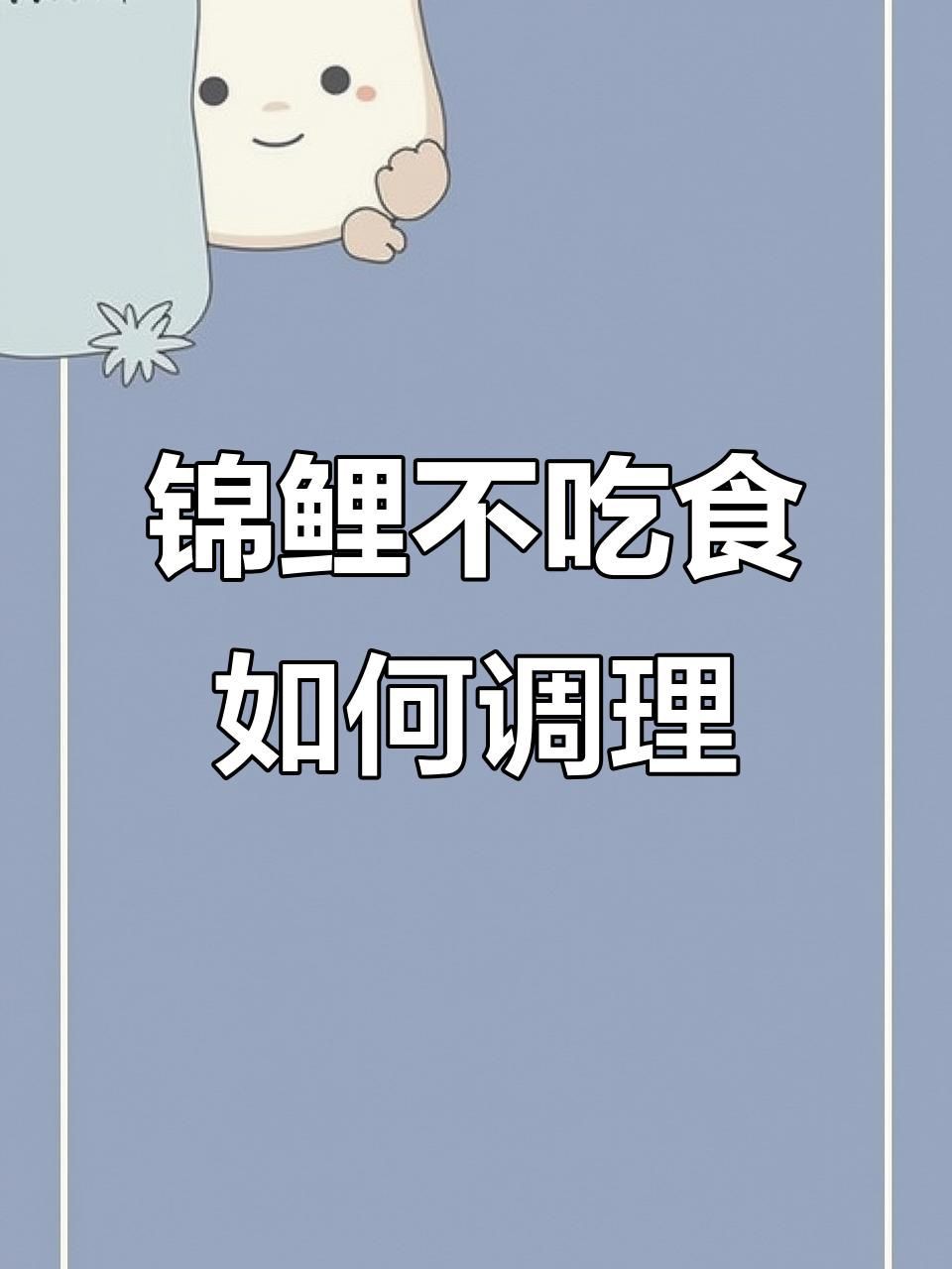 如何預防魚突然不吃食？：全民小視頻，00:59