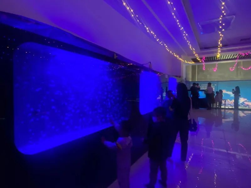 和田水族店：和田市首家海洋生物館開業引來眾多游客