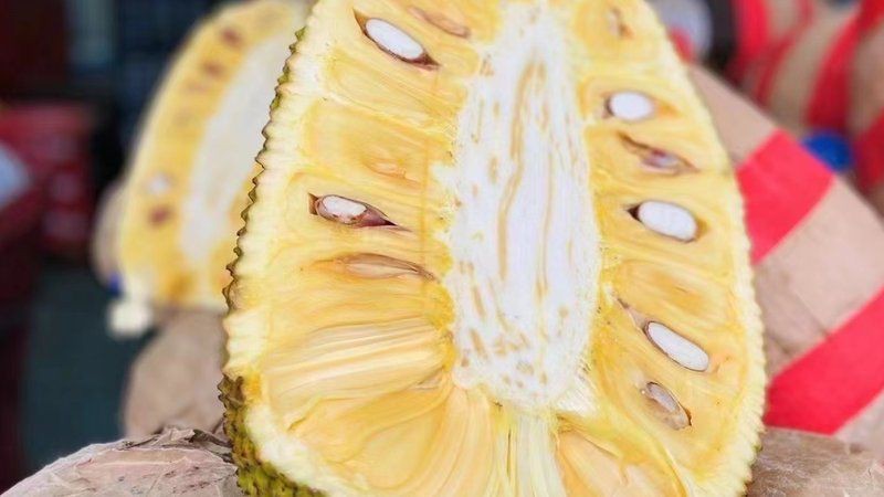 開水果店新手入門教程：搜狐財經新手如何開一家水果店全流程攻略