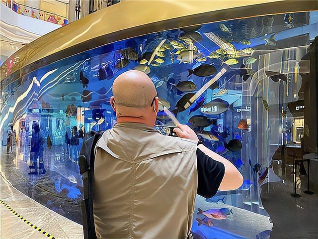 五營水族店：五營水族店地址在哪里 五營水族店：五營水族店地址在哪里 全國水族館企業(yè)名錄 第2張