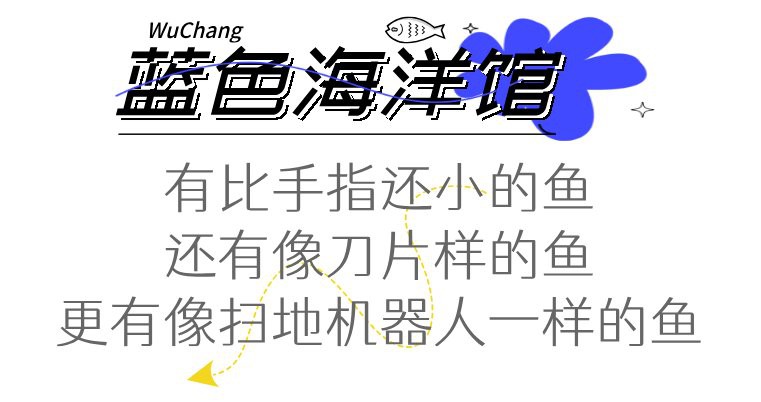 五營水族店：五營水族店地址在哪里 五營水族店：五營水族店地址在哪里 全國水族館企業(yè)名錄 第3張