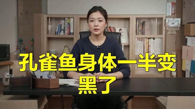 孔雀魚(yú)變黑了能活多久：孔雀魚(yú)突然變黑了能活多久