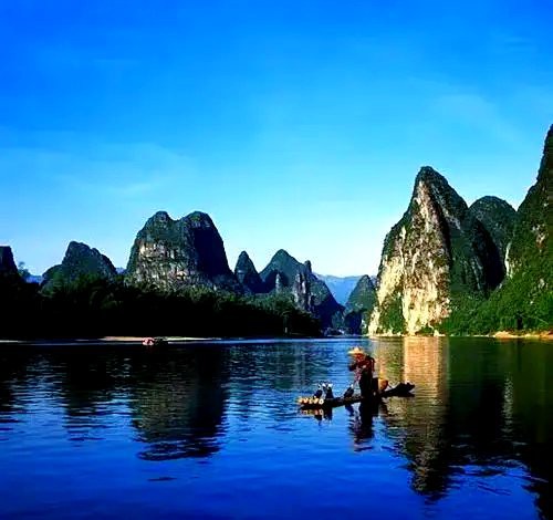 義烏水族店：義烏水族市場在哪里義烏水族市場在哪里推薦幾家水族店