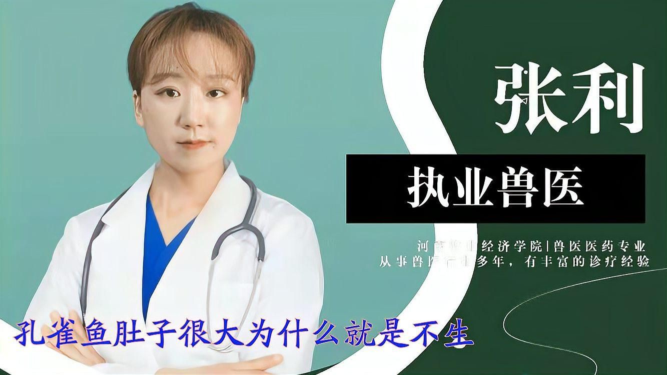 孔雀魚肚子很大為什么就是不生：孔雀魚出現(xiàn)腹部膨大但遲遲不生產(chǎn)的情況可能由以下原因及解決方案