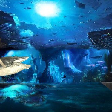 甘孜藏族自治州魚缸定做：甘孜州商務局甘孜州商務局甘孜州商務局甘孜州商務局