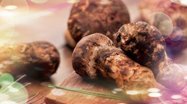 甘孜藏族自治州魚缸定做：甘孜州商務局甘孜州商務局甘孜州商務局甘孜州商務局