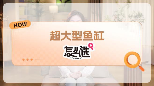 1.2米的缸養(yǎng)什么魚好：1.2米魚缸養(yǎng)多少魚合適