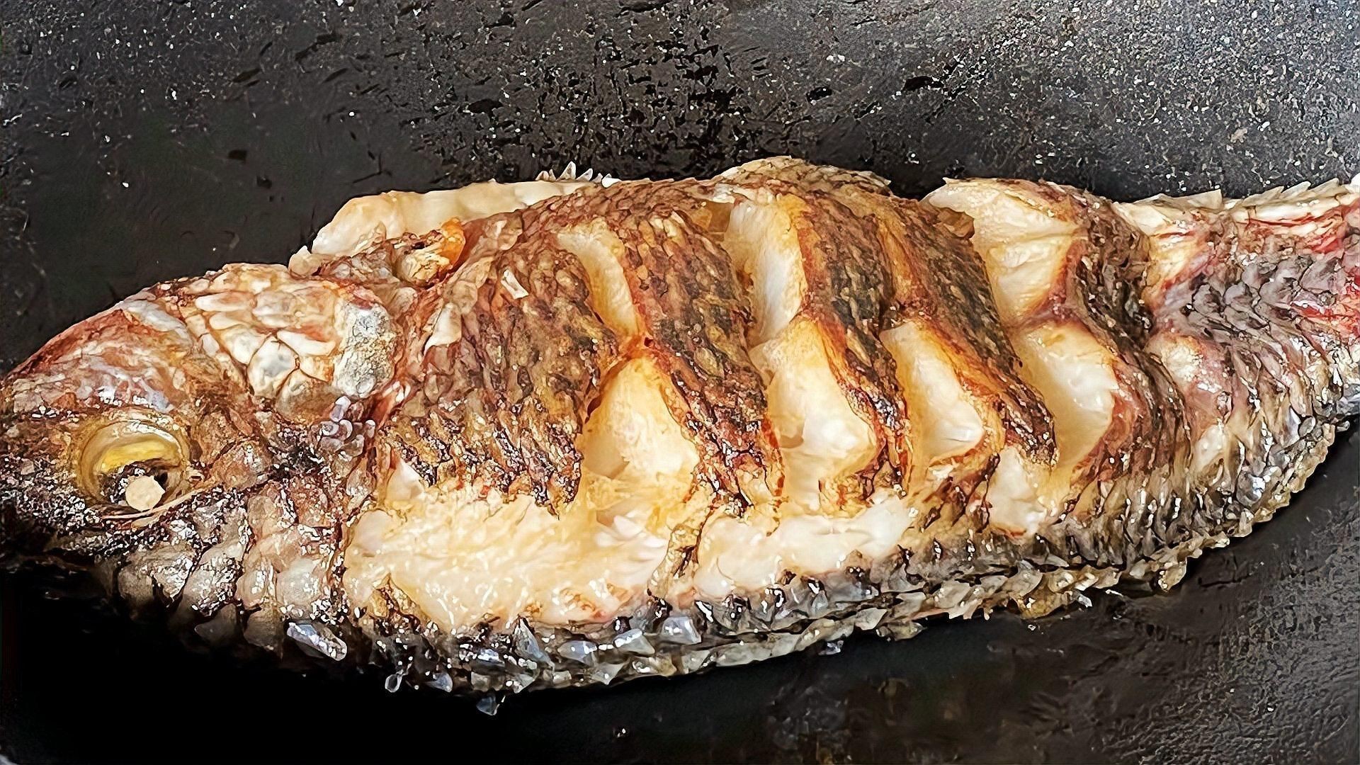 如何預防魚破皮？：榮耀小記觀賞魚身上有潰爛現象怎么回事寵物營養師