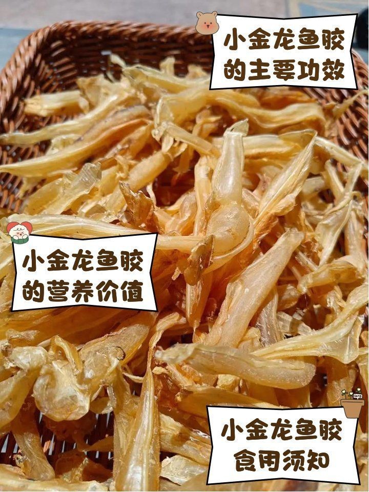 小金龍魚膠建議買嗎：小金龍魚膠作為日常滋補品