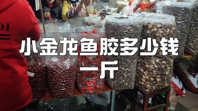 小金龍魚膠建議買嗎：小金龍魚膠作為日常滋補品