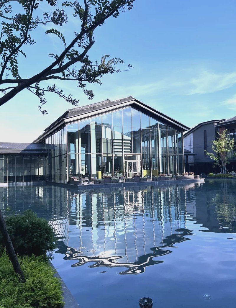 衢州魚缸店，中國首家魚子醬體驗店落戶浙江衢州