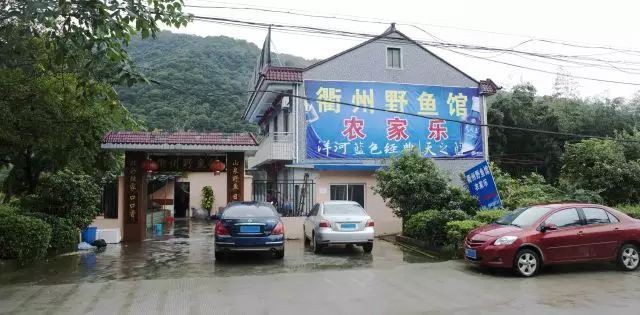 衢州魚缸店，中國首家魚子醬體驗(yàn)店落戶浙江衢州