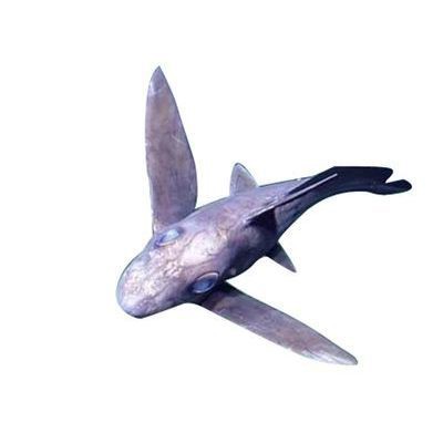 明日方舟幽靈鯊是什么鯊魚：《明日方舟》幽靈鯊在《明日方舟》中的設定與現實生物存在關聯