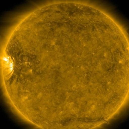 巨骨舌魚vs森蚺哪個(gè)更厲害：奇妙生物圈-巨骨舌魚