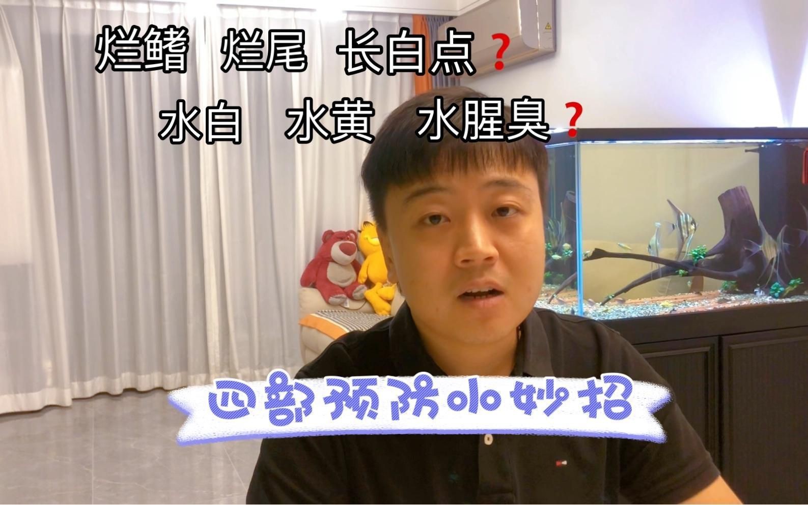 如何預防魚爛尾爛鰭病的發生？：小魚爛尾是怎么回事