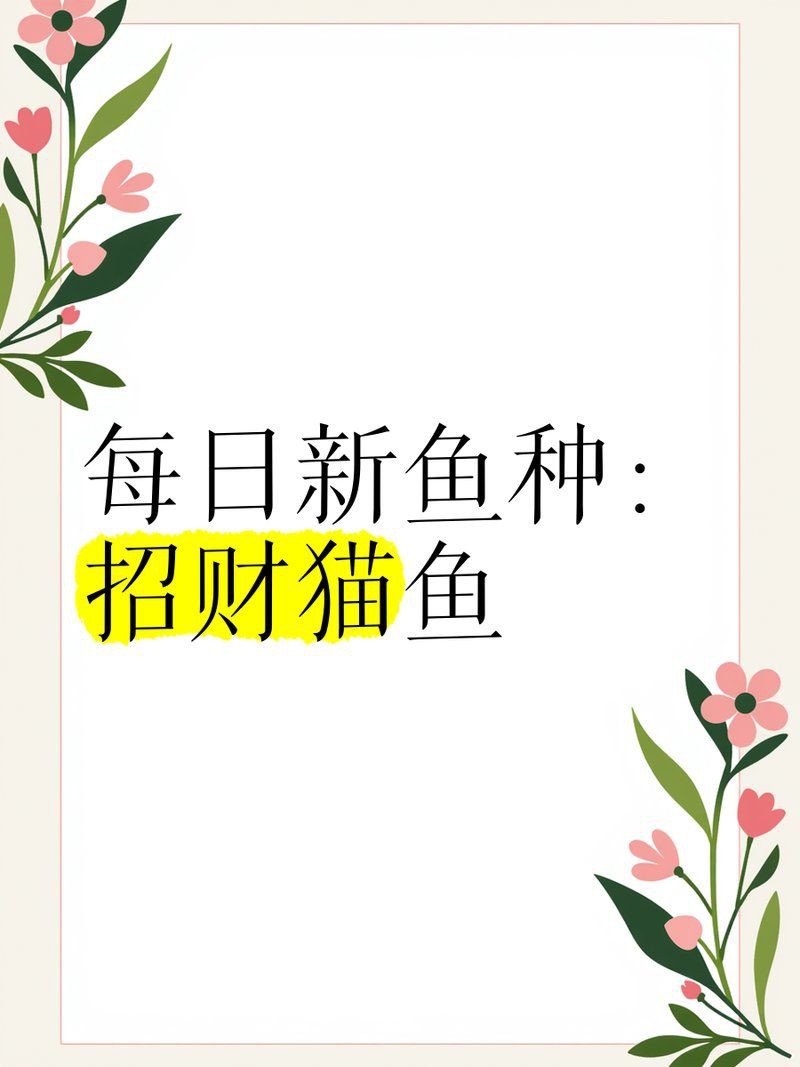 招財(cái)貓魚不用過濾可以嗎怎么養(yǎng)：招財(cái)貓魚無過濾飼養(yǎng)攻略
