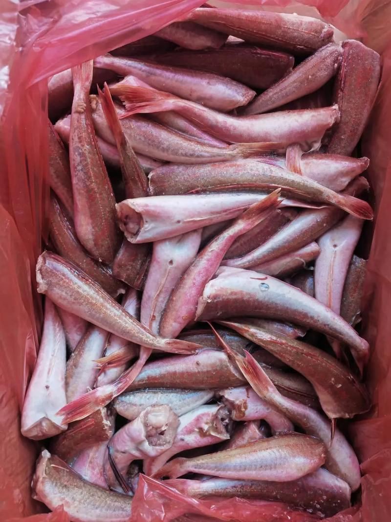 紅頭調魚圖片：潮汕油燜紅血魚