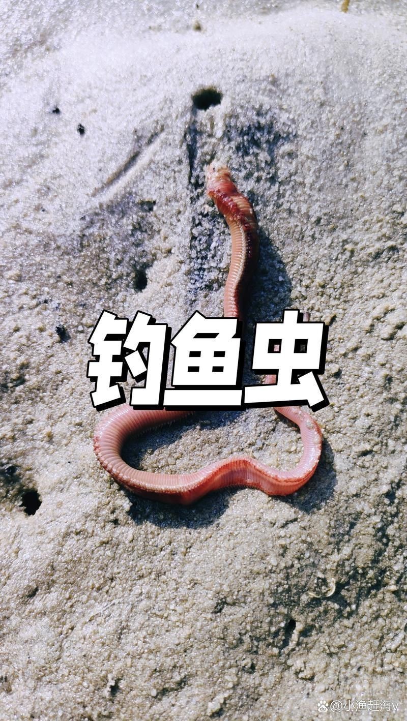 紅頭調魚圖片：潮汕油燜紅血魚