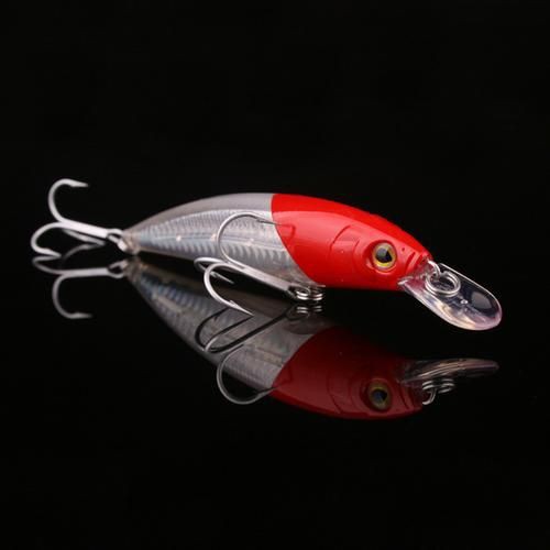 紅頭調魚圖片：潮汕油燜紅血魚