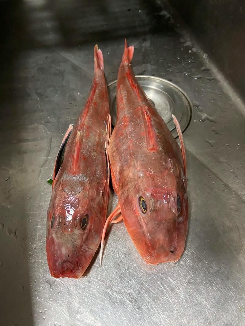 紅頭調魚圖片：潮汕油燜紅血魚